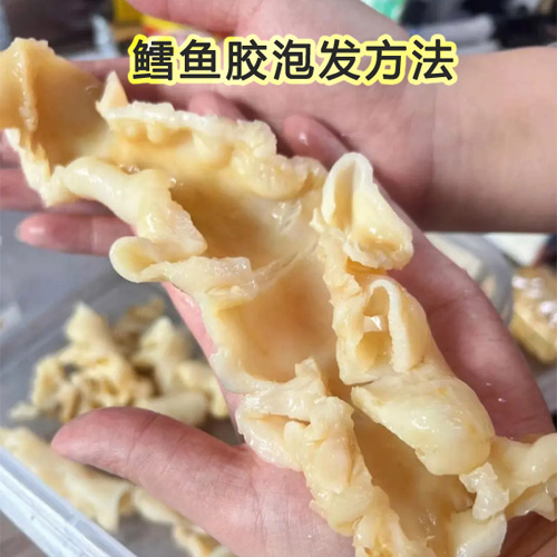 鳕鱼胶的泡发方法，喜欢鳕鱼胶的人群必看必学