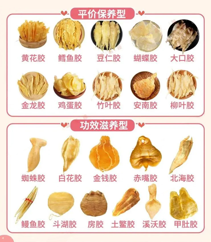 鱼胶大全