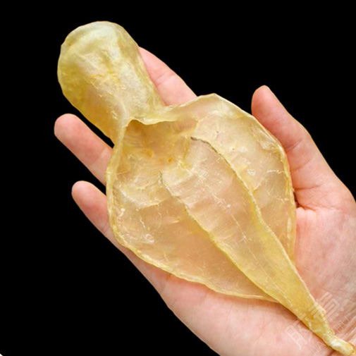 精选本港白花胶60头一斤，最受女性欢迎的五大名胶之一