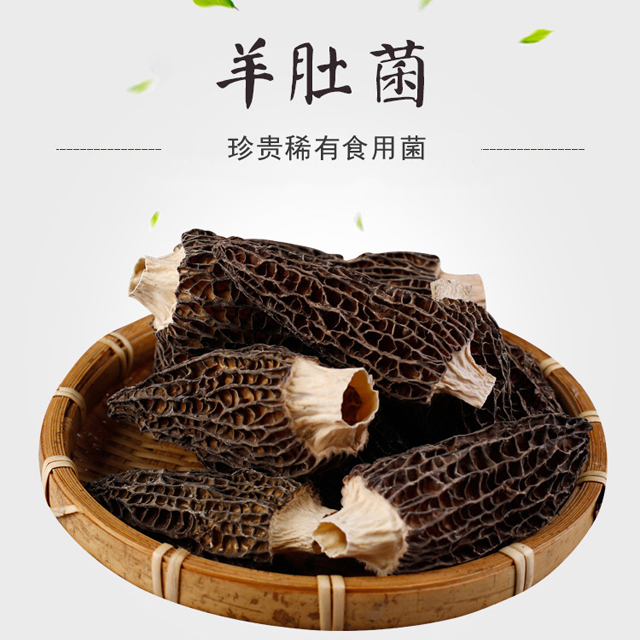 精选大号云南羊肚菌6-9规格 金选品质个大肉厚香味四溢